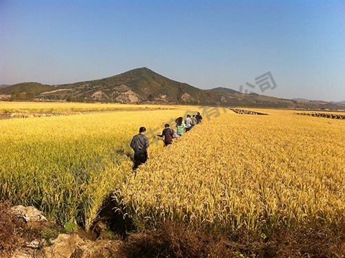 基地风采