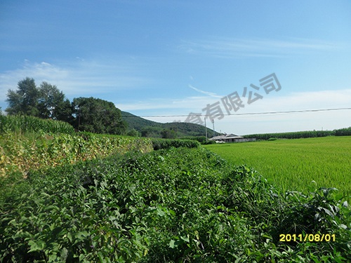 基地风采